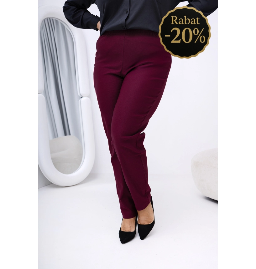 S119 SPODNIE ALEX BORDOWE S119 SPODNIE ALEX BORDOWE